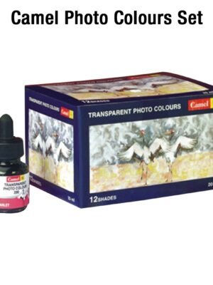 CAMEL PHOTO COLOUR SET 20ML PACK OF 12SHADES